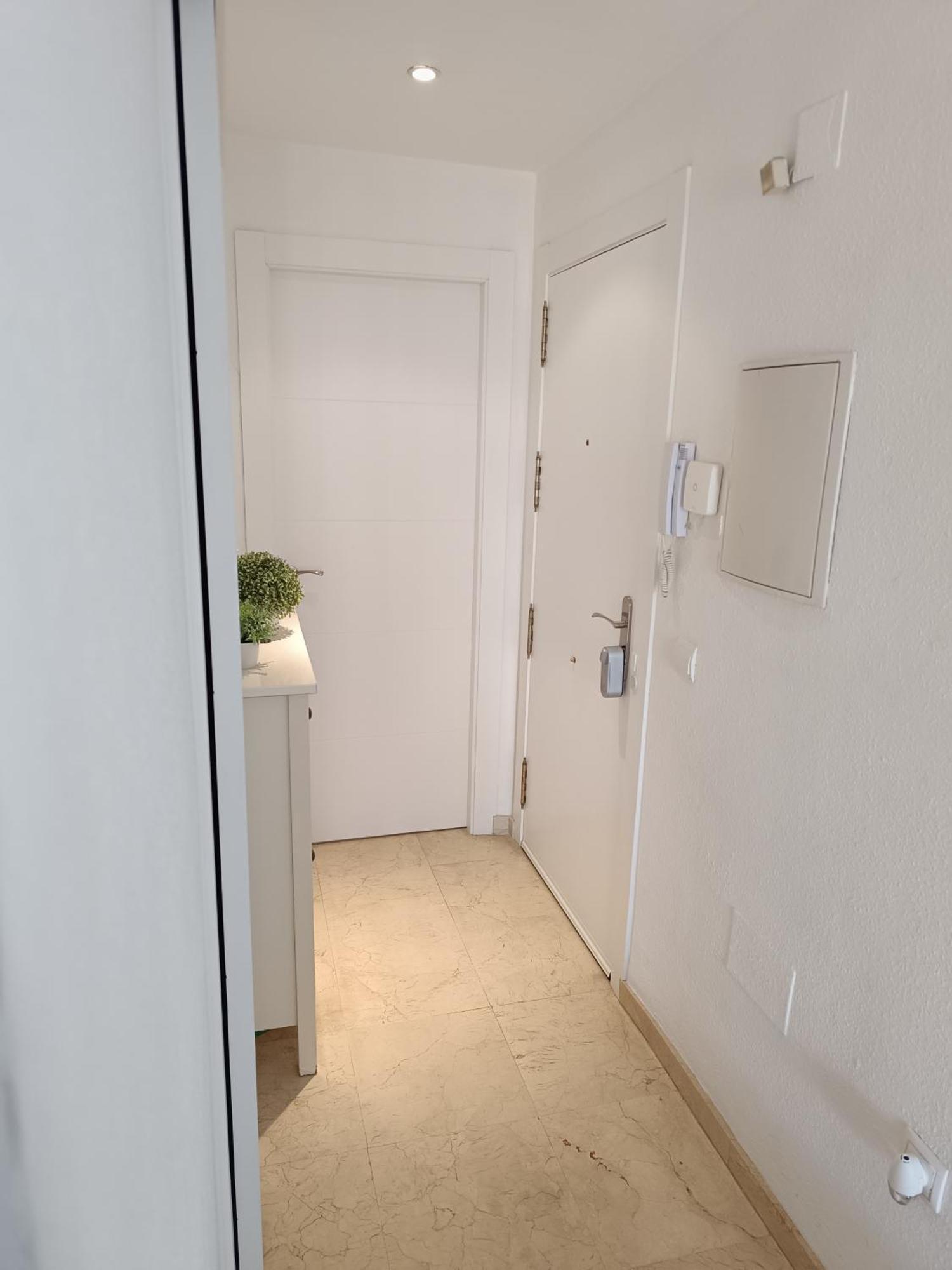 Apartamento Centrico En マラガ エクステリア 写真